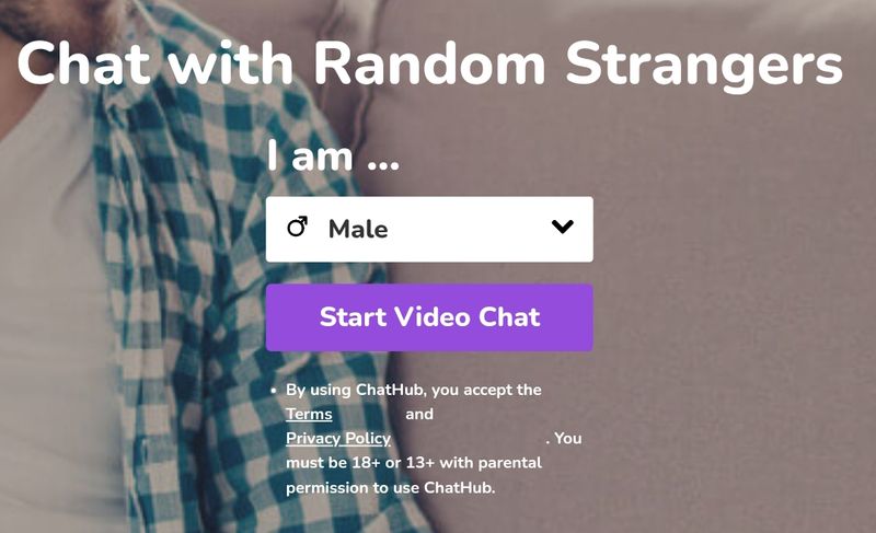 chathub online chatting with strangers