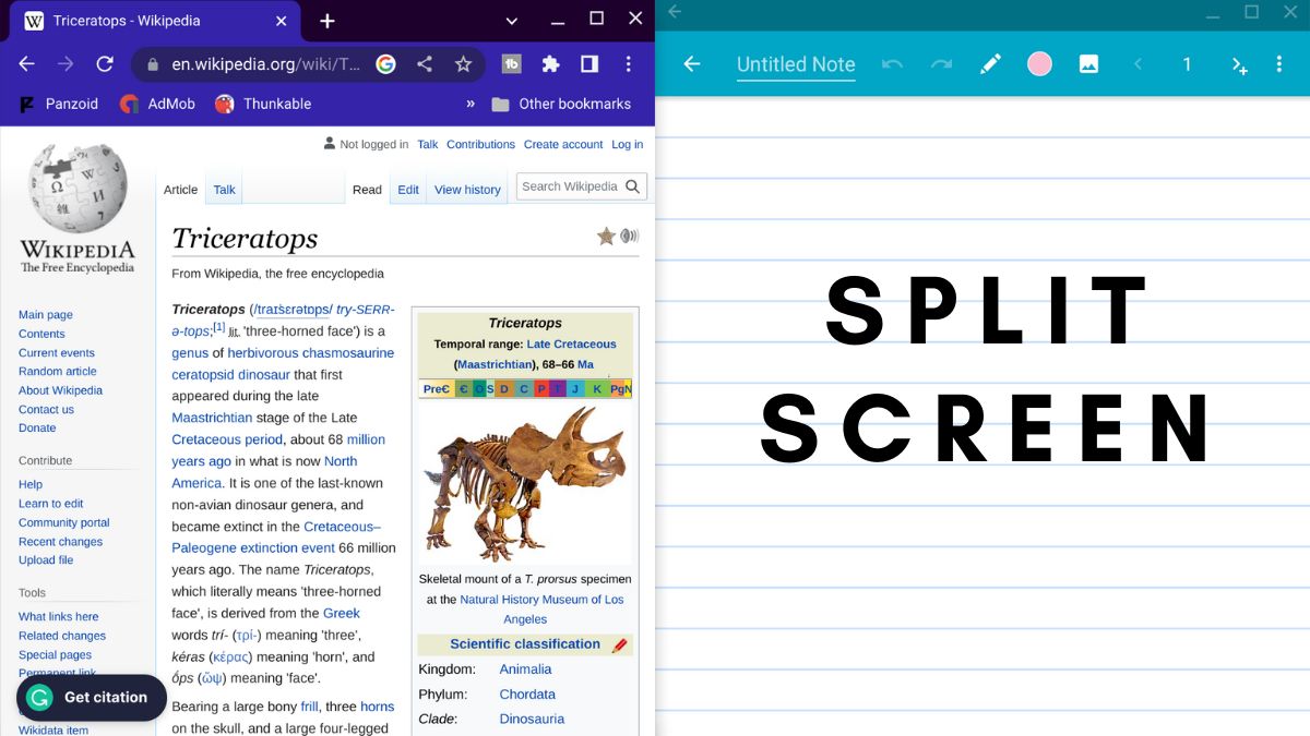Split Screen